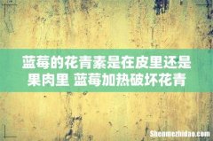 蓝莓的花青素是在皮里还是果肉里 蓝莓加热破坏花青素吗