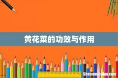黄花菜的功效与作用