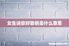 女生说你好聪明是什么意思