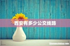 西安有多少公交线路