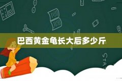 巴西黄金龟长大后多少斤
