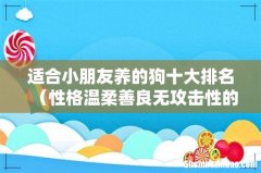 性格温柔善良无攻击性的狗 适合小朋友养的狗十大排名