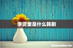 李贤奎是什么韩剧