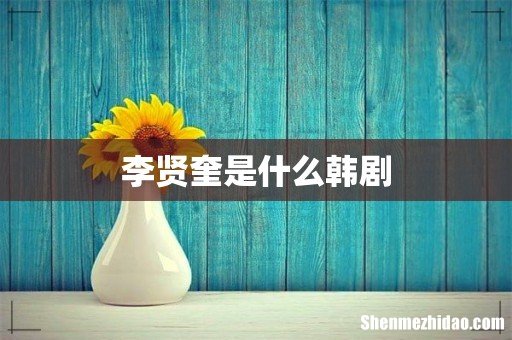 李贤奎是什么韩剧