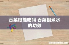 香菜根能吃吗 香菜根煮水的功效