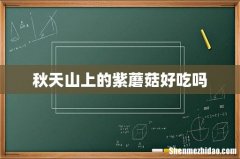 秋天山上的紫蘑菇好吃吗