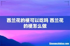 西兰花的梗可以吃吗 西兰花的梗怎么做