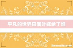 平凡的世界田润叶嫁给了谁