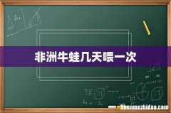 非洲牛蛙几天喂一次