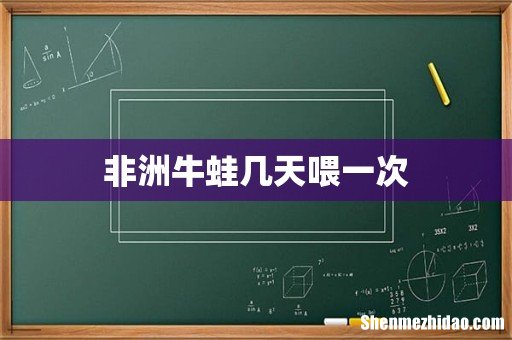 非洲牛蛙几天喂一次