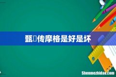 甄嬛传摩格是好是坏