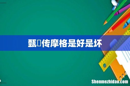 甄嬛传摩格是好是坏