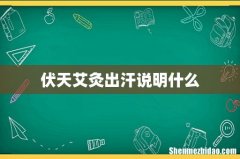 伏天艾灸出汗说明什么