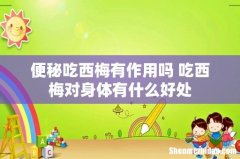 便秘吃西梅有作用吗 吃西梅对身体有什么好处