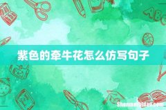 紫色的牵牛花怎么仿写句子