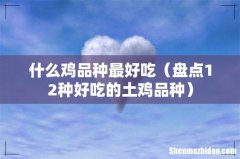 盘点12种好吃的土鸡品种 什么鸡品种最好吃