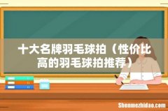 性价比高的羽毛球拍推荐 十大名牌羽毛球拍