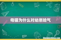 母猫为什么对幼崽哈气