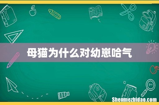 母猫为什么对幼崽哈气