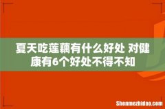 夏天吃莲藕有什么好处 对健康有6个好处不得不知