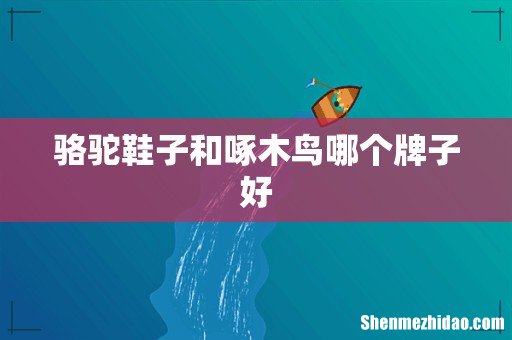 骆驼鞋子和啄木鸟哪个牌子好