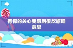 有你的关心我感到很欣慰啥意思