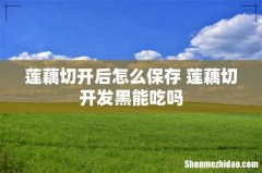 莲藕切开后怎么保存 莲藕切开发黑能吃吗