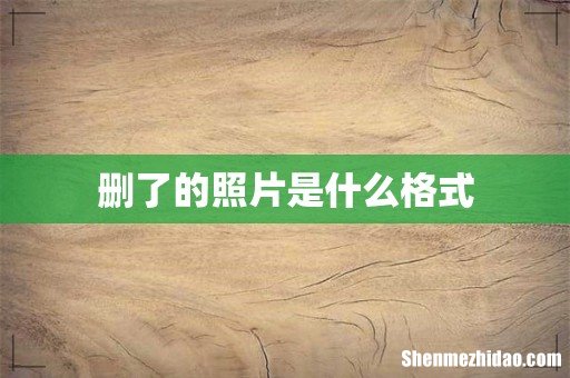 删了的照片是什么格式