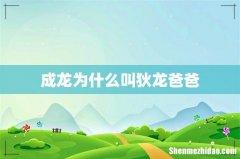 成龙为什么叫狄龙爸爸