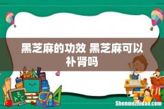 黑芝麻的功效 黑芝麻可以补肾吗
