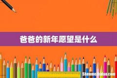 爸爸的新年愿望是什么