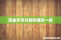 流金岁月叶璇和谁在一起