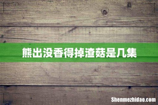 熊出没香得掉渣菇是几集