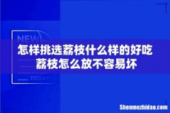 怎样挑选荔枝什么样的好吃 荔枝怎么放不容易坏