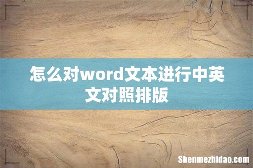 怎么对word文本进行中英文对照排版