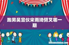 跑男吴宣仪宋雨琦劈叉哪一期