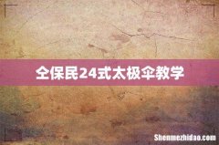 仝保民24式太极伞教学