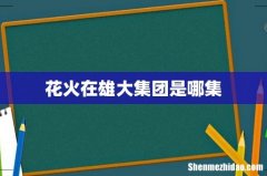 花火在雄大集团是哪集