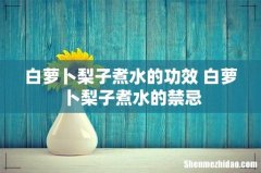 白萝卜梨子煮水的功效 白萝卜梨子煮水的禁忌