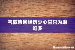 气傲皆因经历少心甘只为磨难多