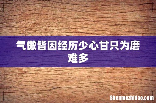 气傲皆因经历少心甘只为磨难多