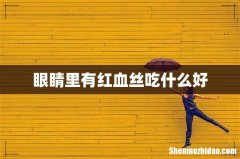 眼睛里有红血丝吃什么好