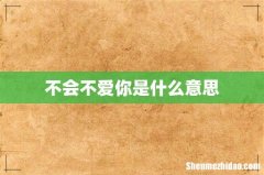 不会不爱你是什么意思
