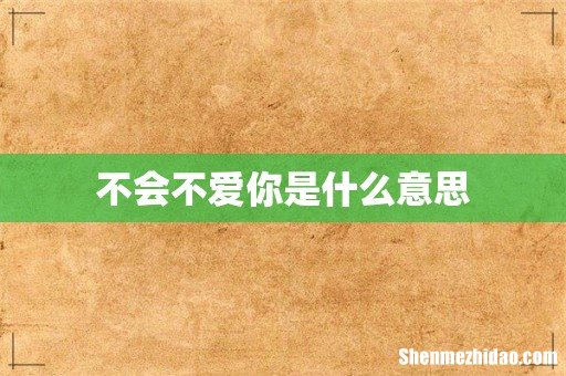 不会不爱你是什么意思
