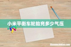 小米平衡车轮胎充多少气压
