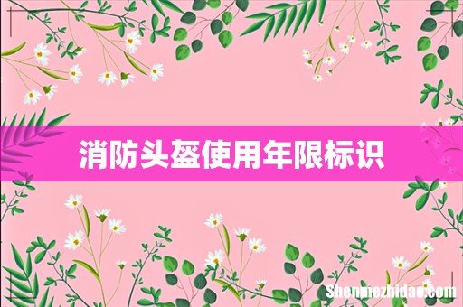 消防头盔使用年限标识