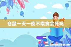 仓鼠一天一夜不喂食会死吗