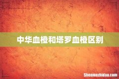 中华血橙和塔罗血橙区别