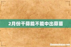 2月份干蒜能不能中出蒜苗