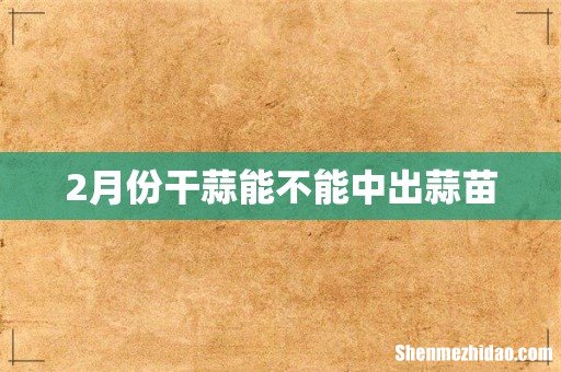 2月份干蒜能不能中出蒜苗
